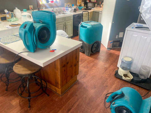 Best 24-hour water damage restoration  in Greenfield, WI