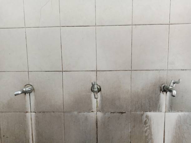  Greenfield, WI Water damage restoration Pros