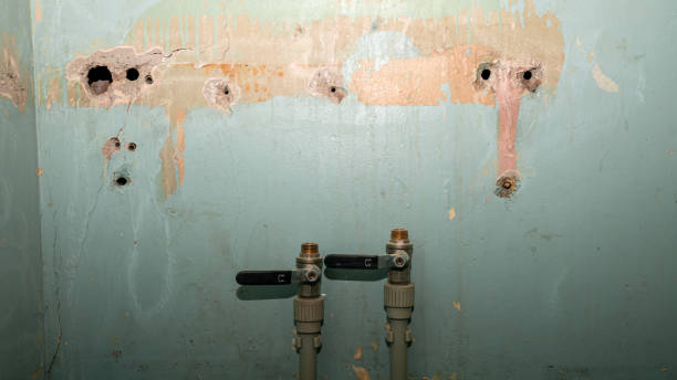 Best Water damage mitigation services  in Greenfield, WI